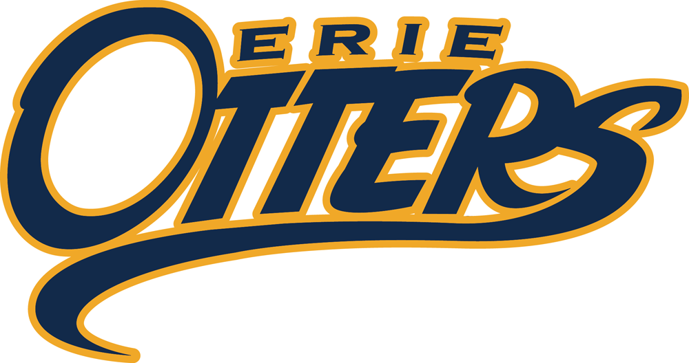 Erie Otters 2016 17-2018 19 Primary Logo iron on paper